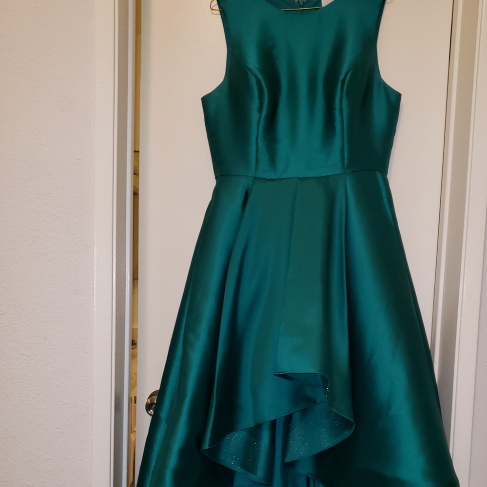 Alyce Paris Formal Dress🌲❤👗